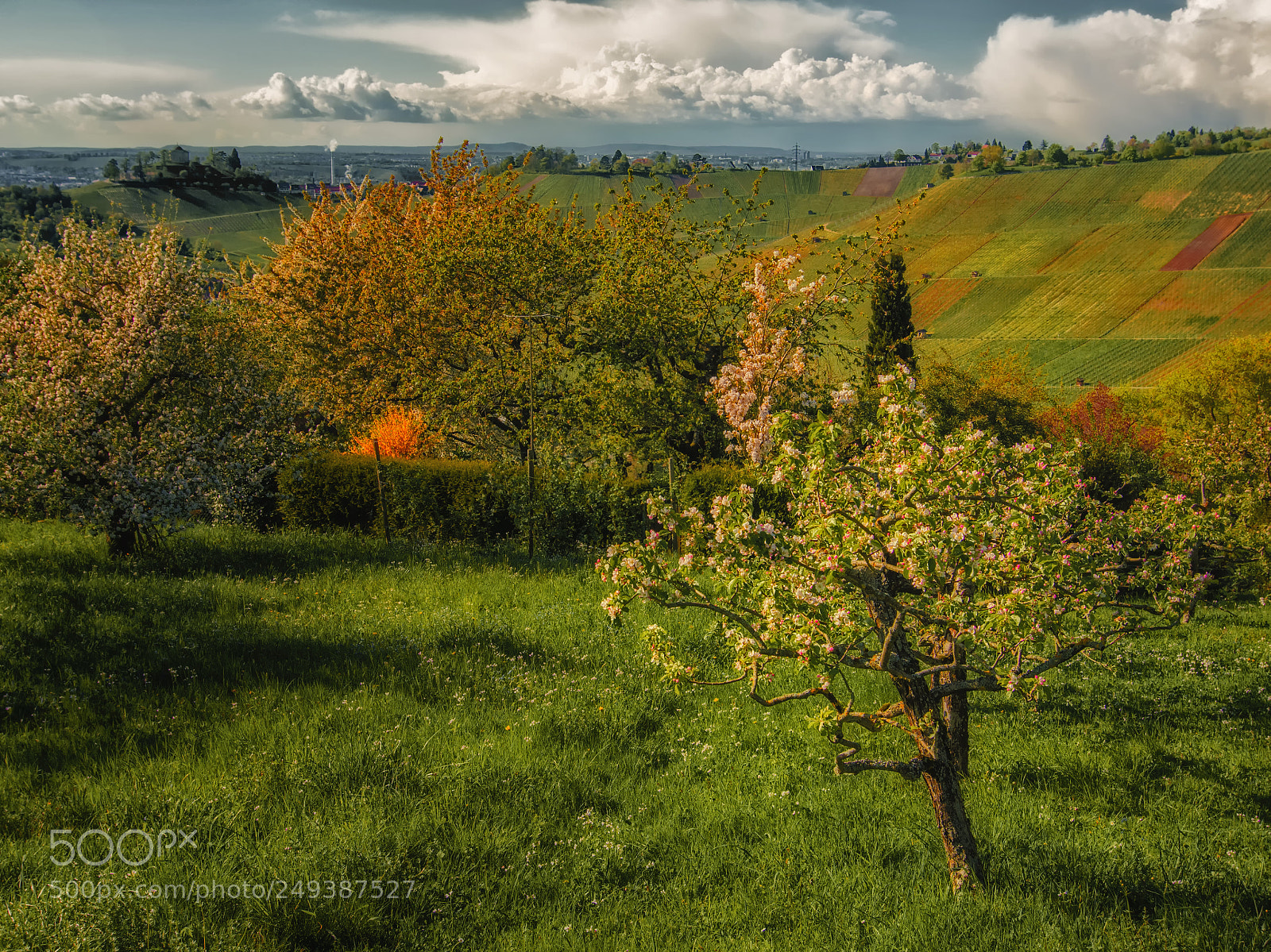 Nikon D7100 sample photo. The promise of spring photography