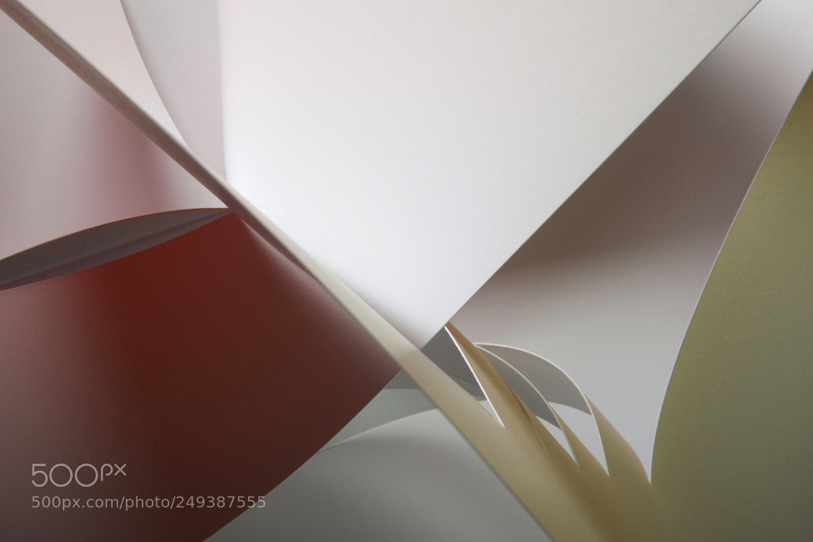 Nikon D810 sample photo. Inside out photography