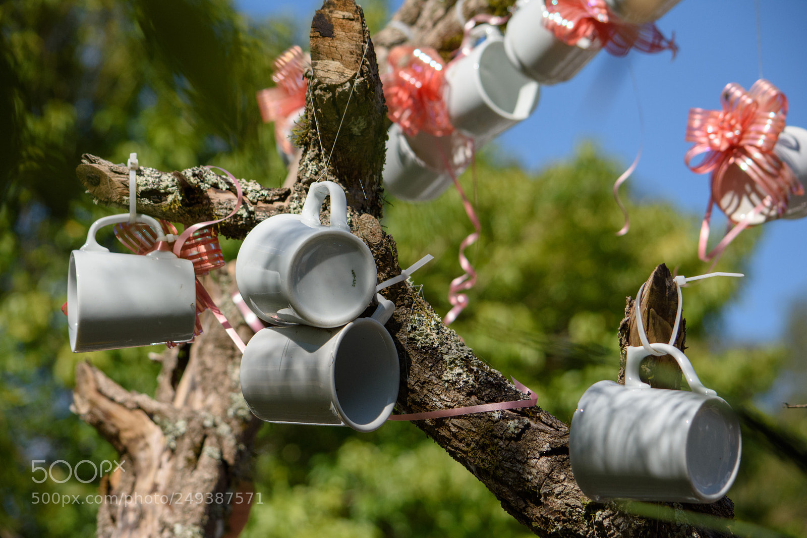 Nikon D7200 sample photo. Wck photography