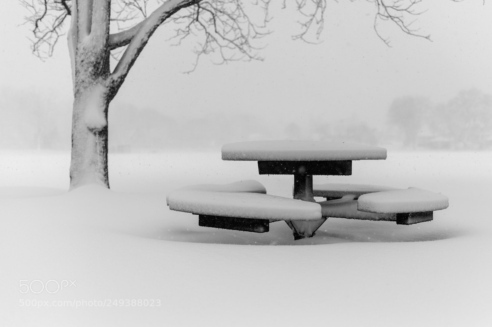 Nikon D810 sample photo. Snow day in franklin photography
