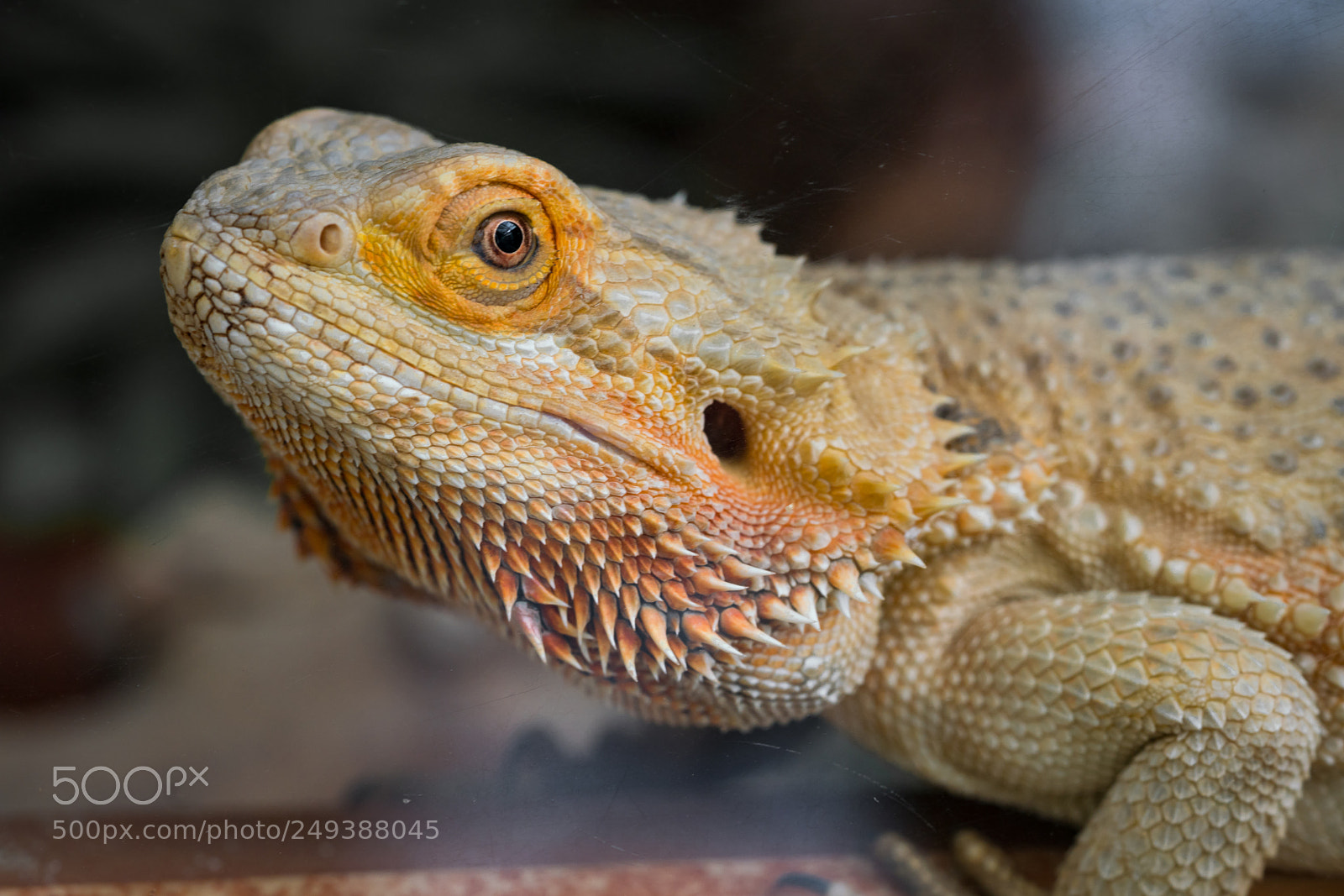 Sony a7R III sample photo. Untitled photography
