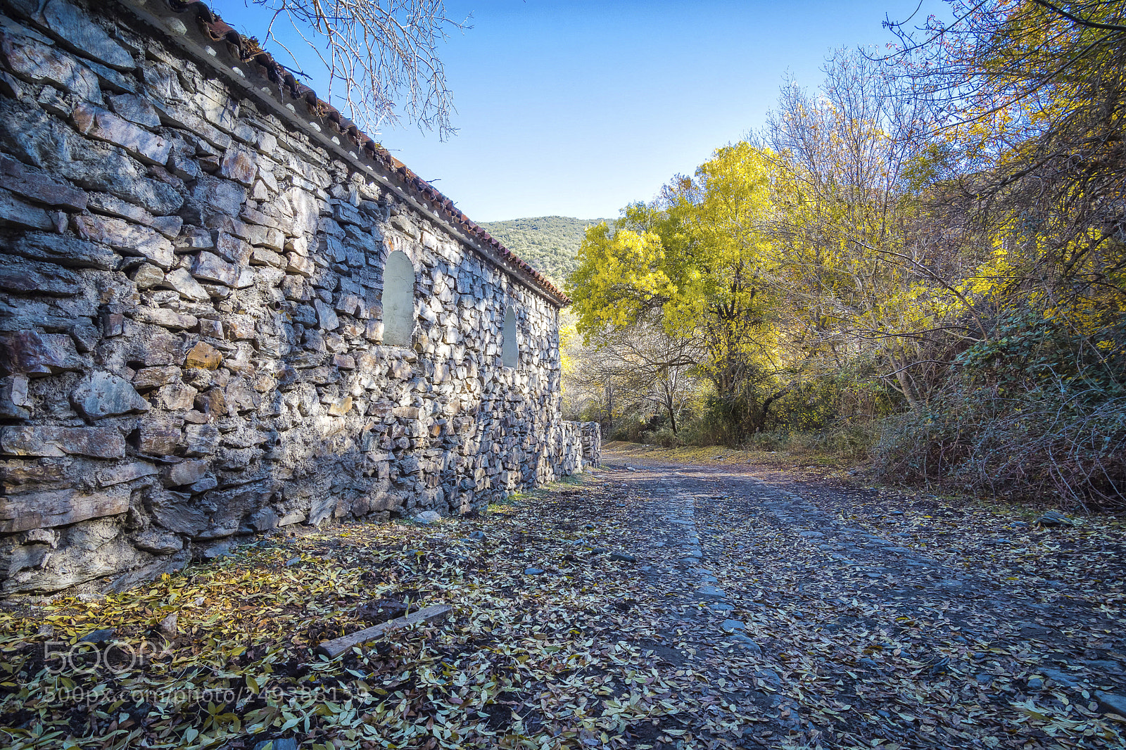 Nikon D7200 sample photo. Dehesa del camarate o photography