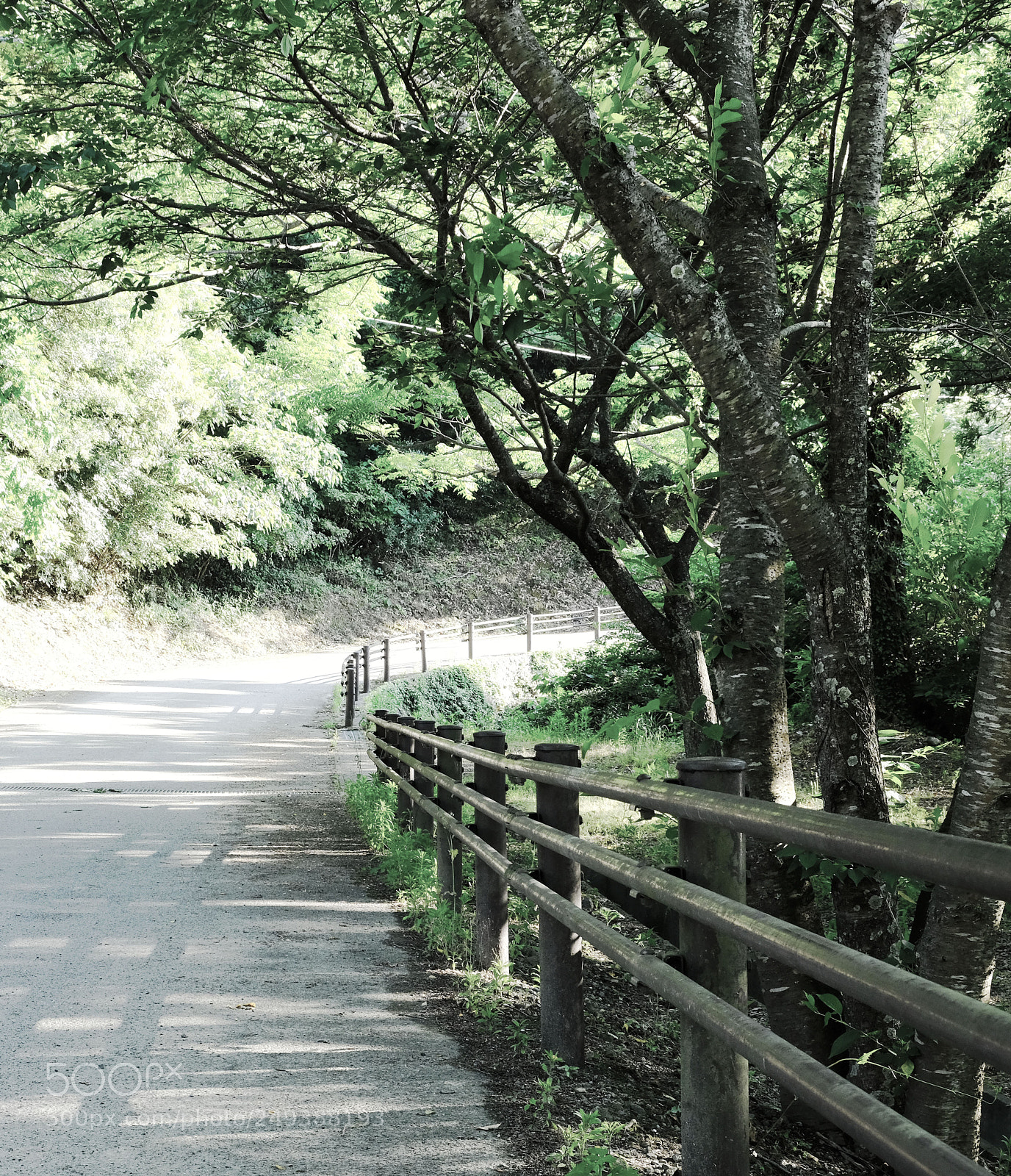 Fujifilm X-T20 sample photo. The road under the photography