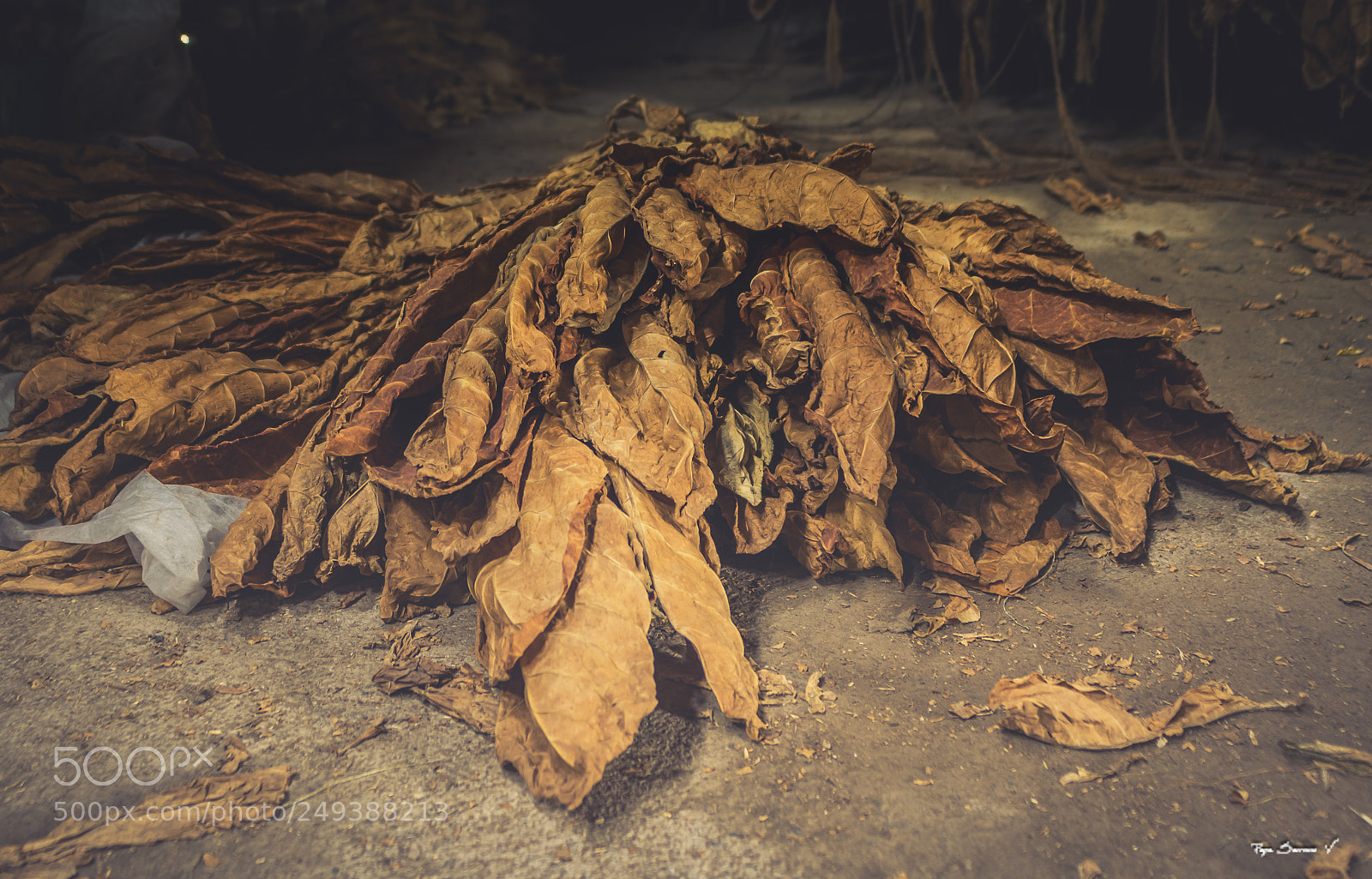 Nikon D7200 sample photo. El tabaco o photography