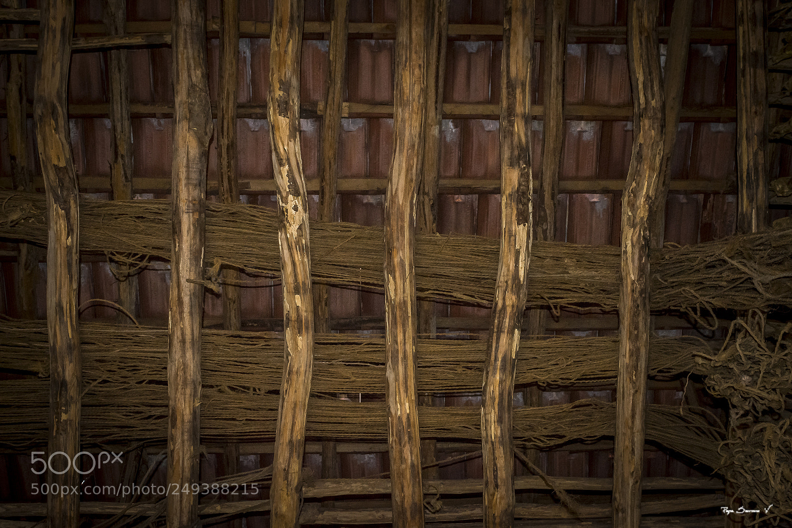 Nikon D7200 sample photo. El techo del secadro photography