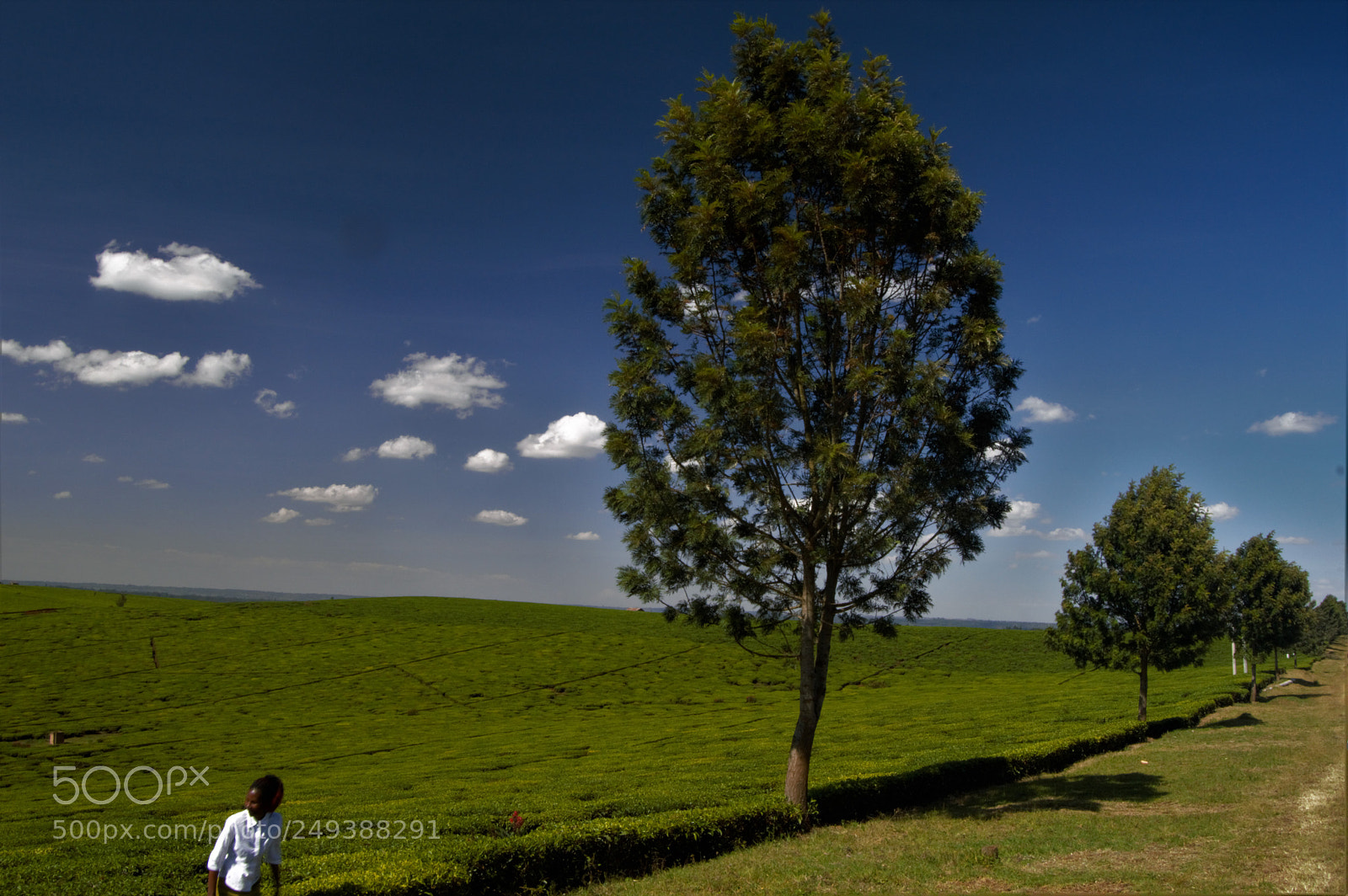 Nikon D3200 sample photo. Untitled photography
