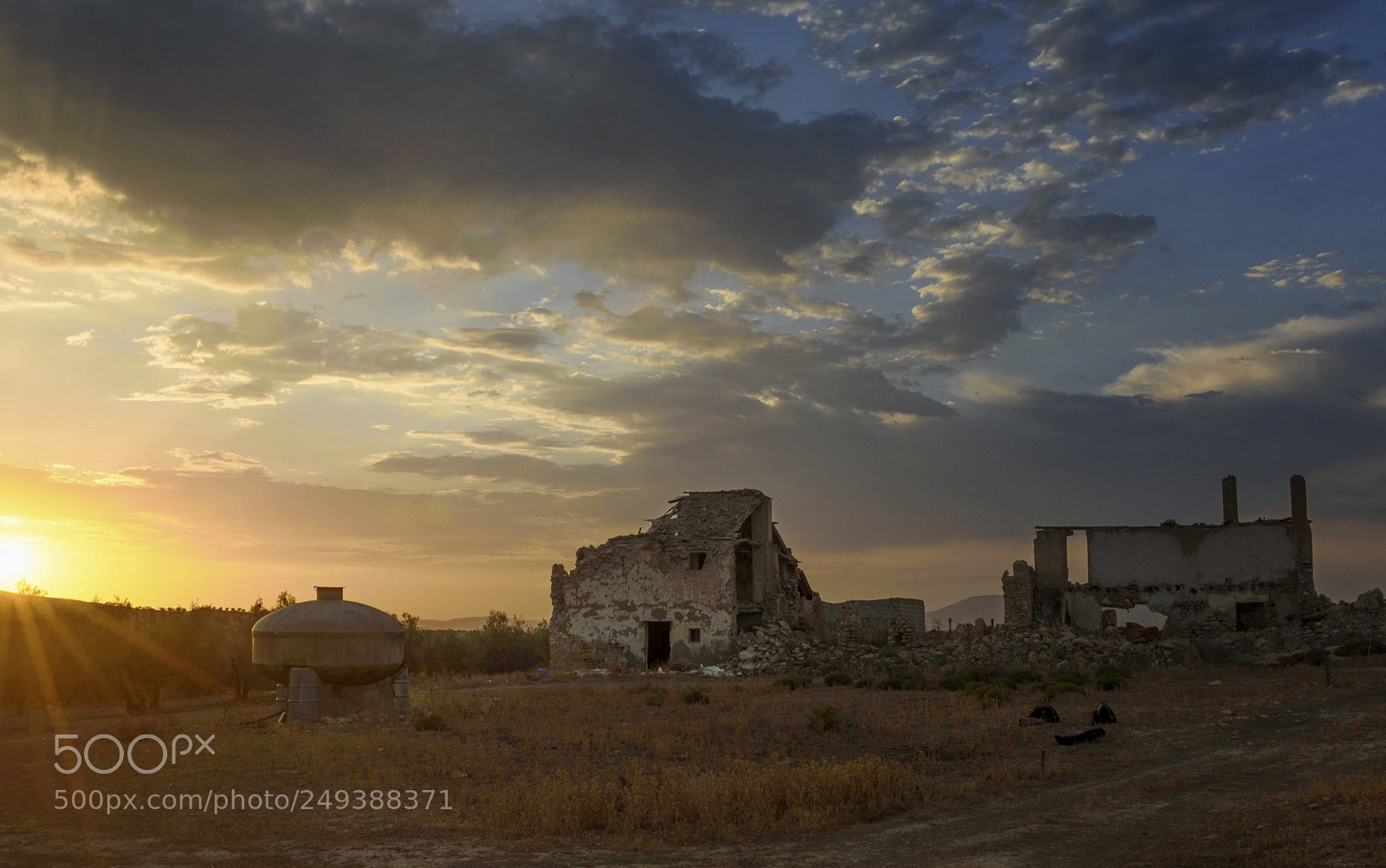 Nikon D7200 sample photo. Esos largos atardeceres del photography