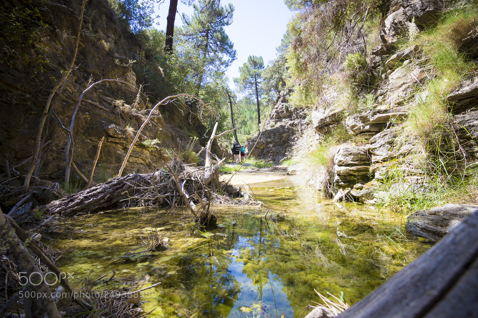 Nikon D3200 sample photo. Fornes granada o photography