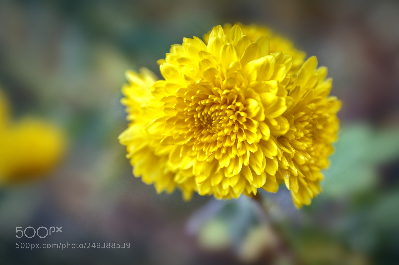 Nikon D90 sample photo. ... photography