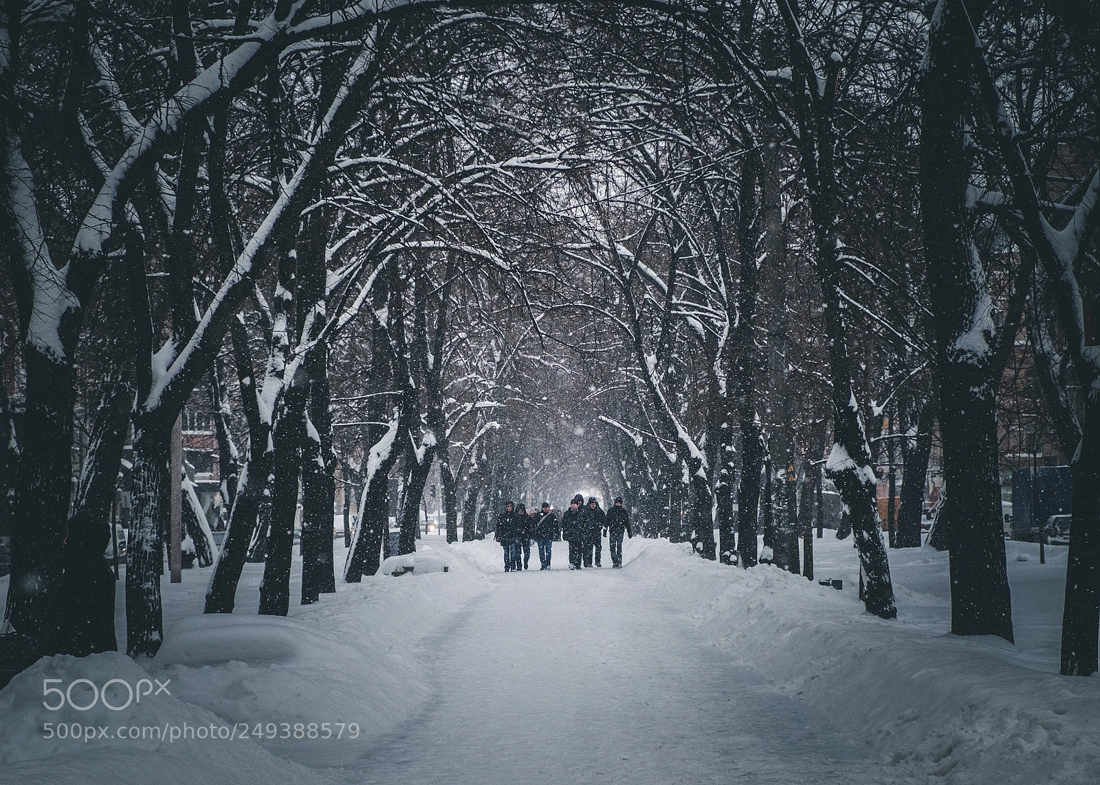 Fujifilm X-T1 sample photo. February, 35 photography