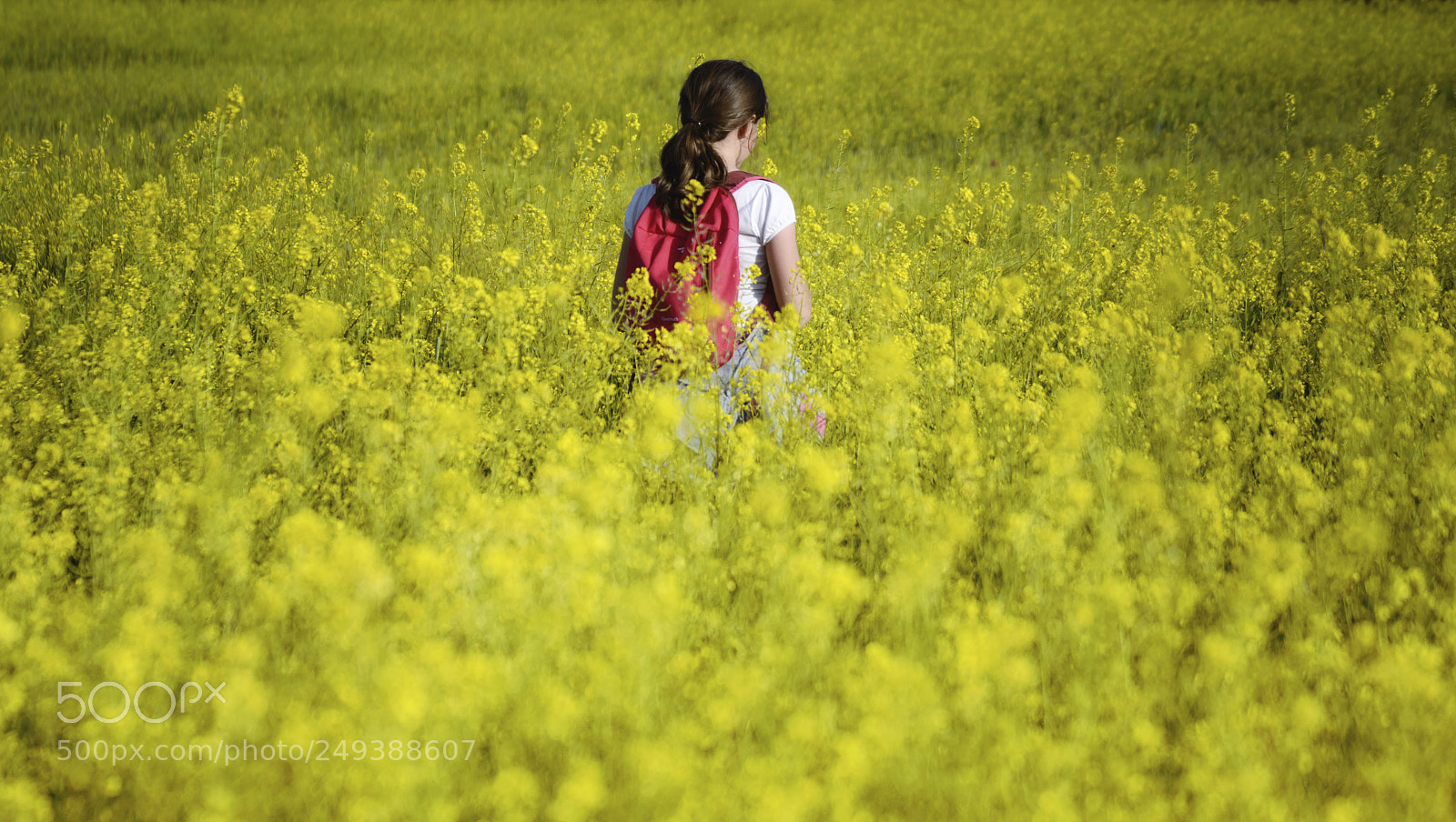 Nikon D3200 sample photo. Qu fcil hacer fotos photography