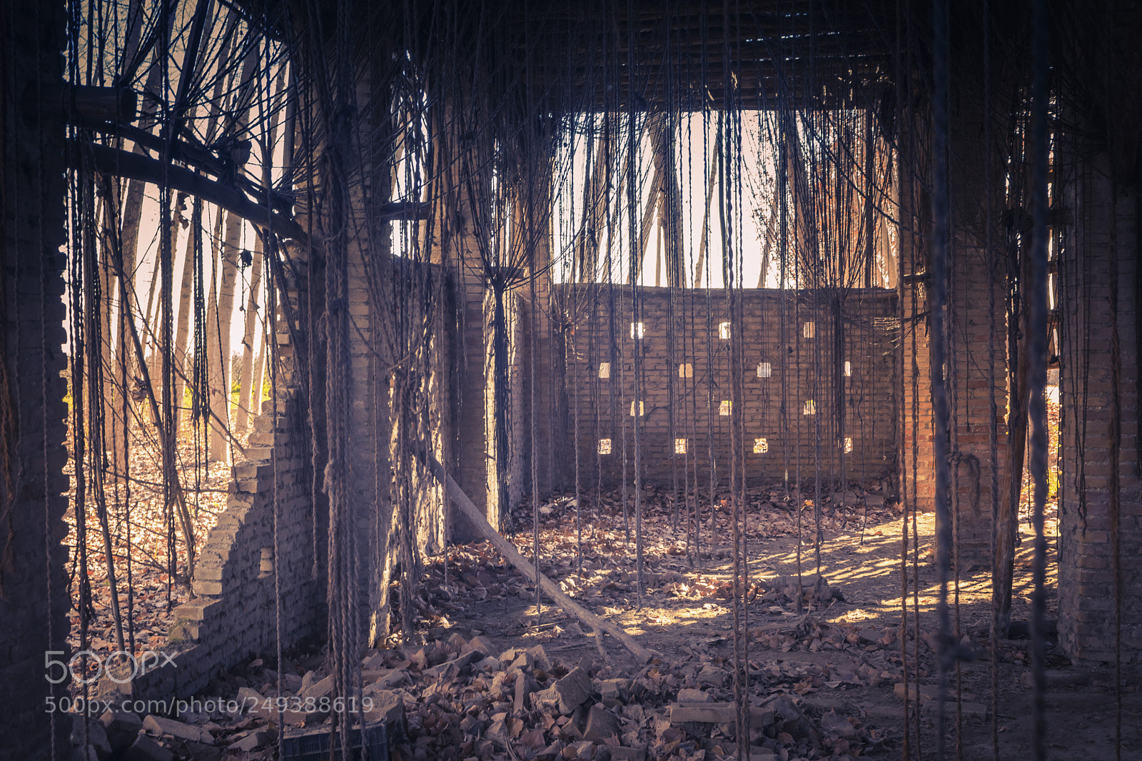 Nikon D7200 sample photo. Secadero abandonado o photography