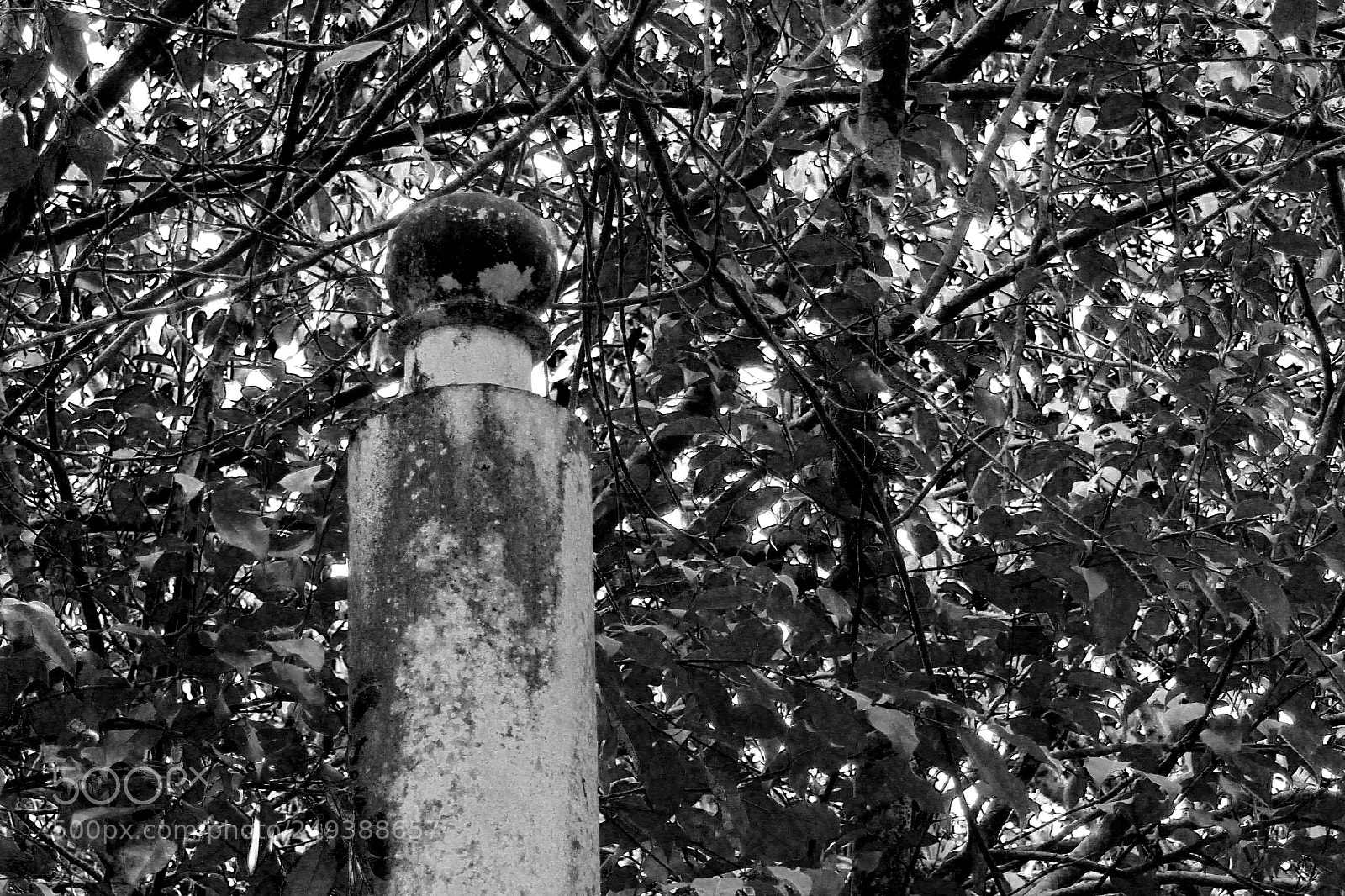 Canon PowerShot SX410 IS sample photo. Untitled photography