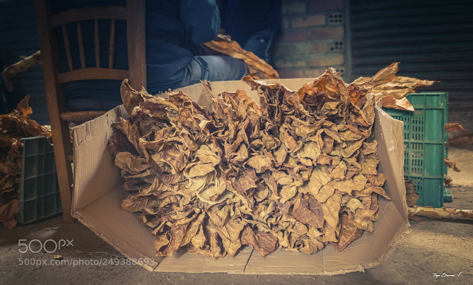 Nikon D7200 sample photo. Tabaco clasificado o photography
