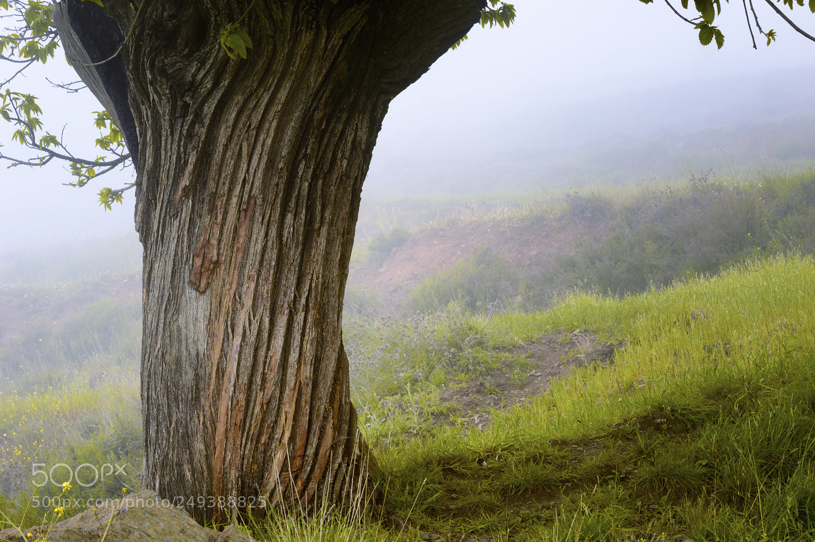 Nikon D3200 sample photo. Y este es un photography