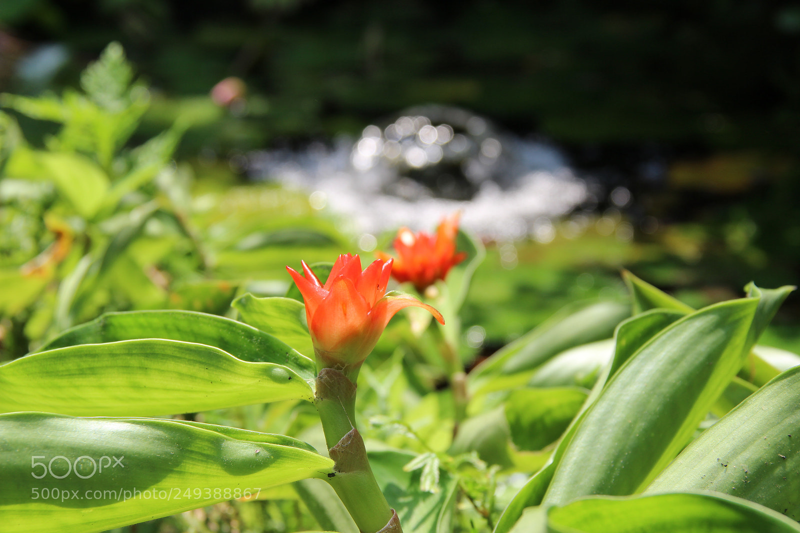 Canon EF-S 18-135mm F3.5-5.6 IS sample photo. Untitled photography