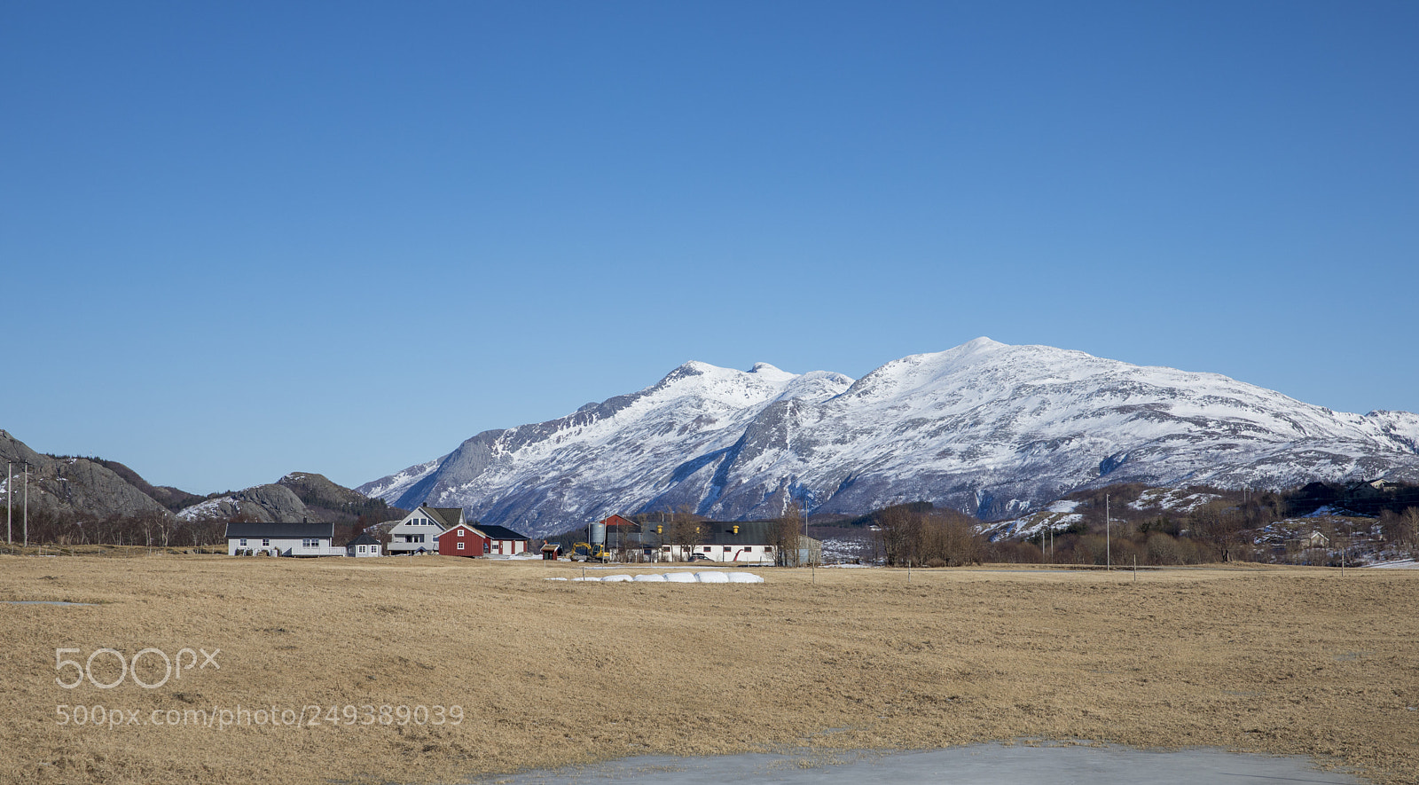 Canon EOS 5D Mark IV sample photo. At the farm photography