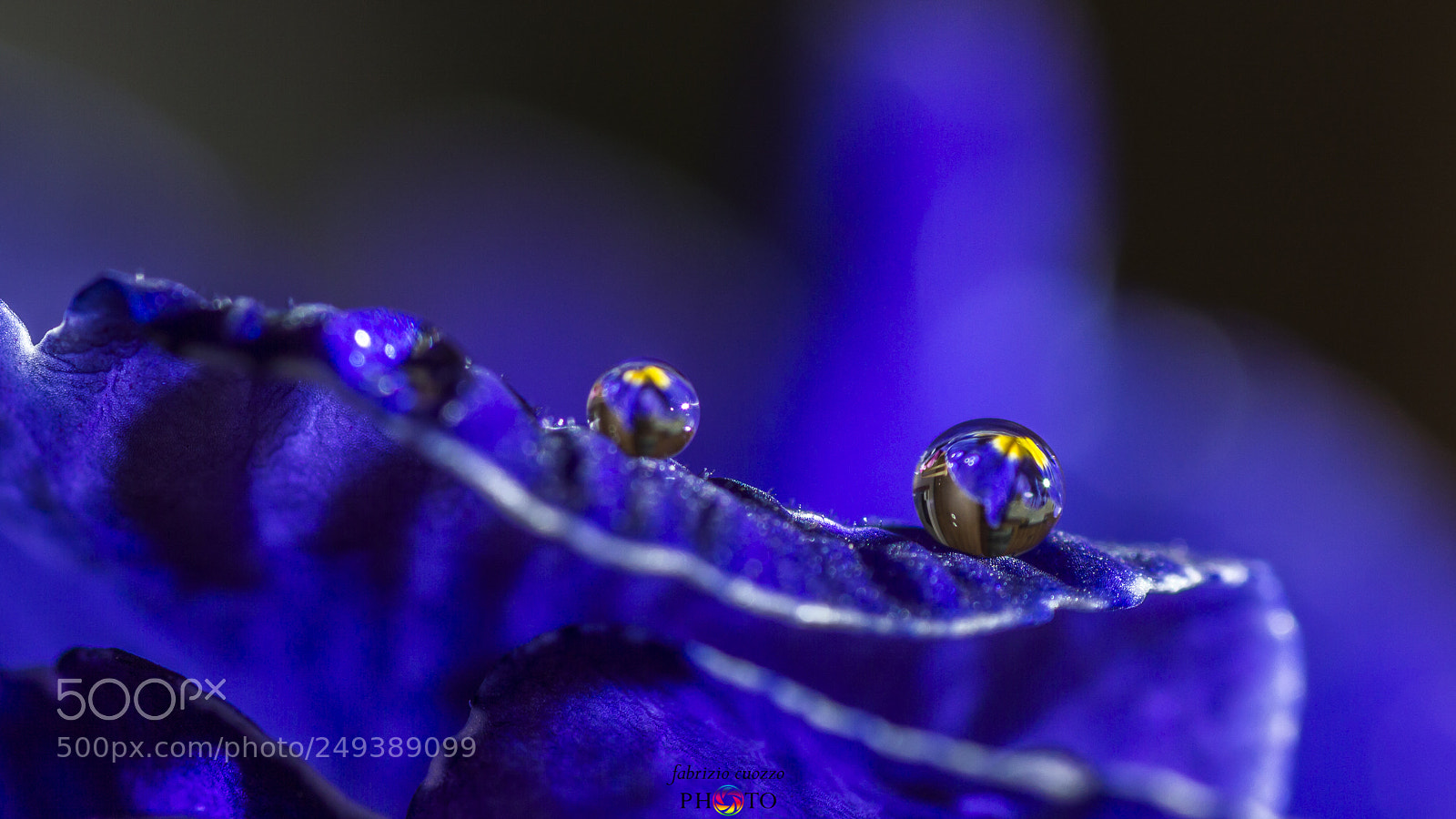 Nikon D3200 sample photo. Drops&flowers photography