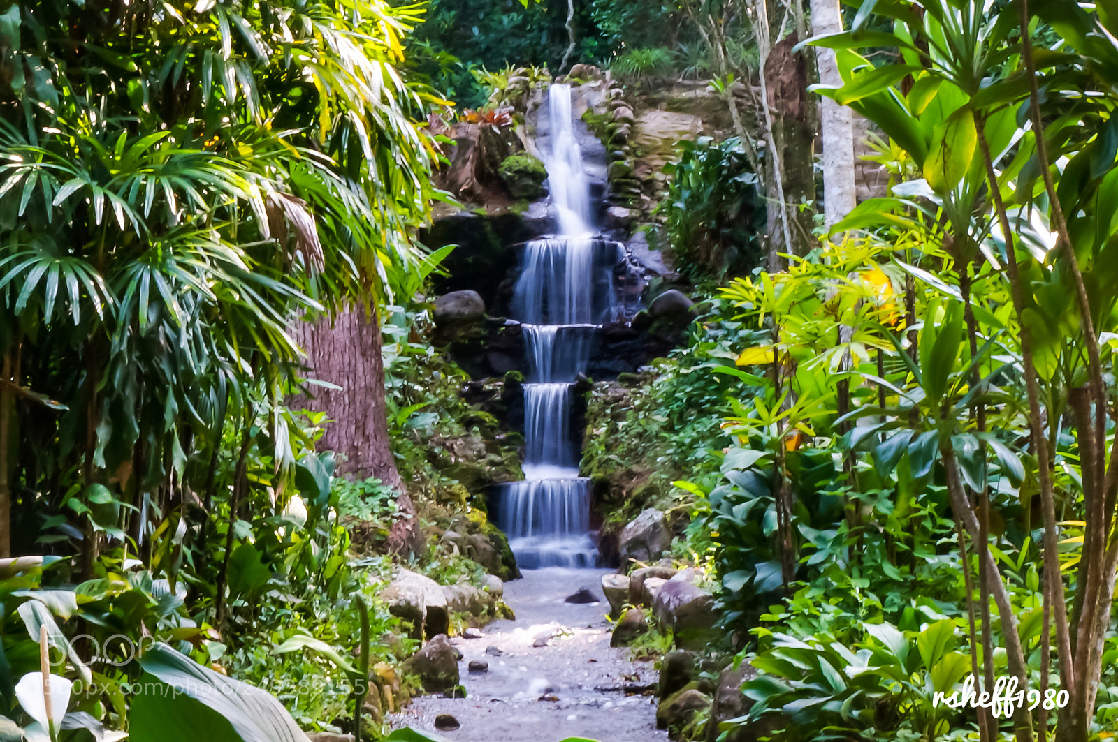 Sony Alpha NEX-5R sample photo. Waterfall in the botanical photography