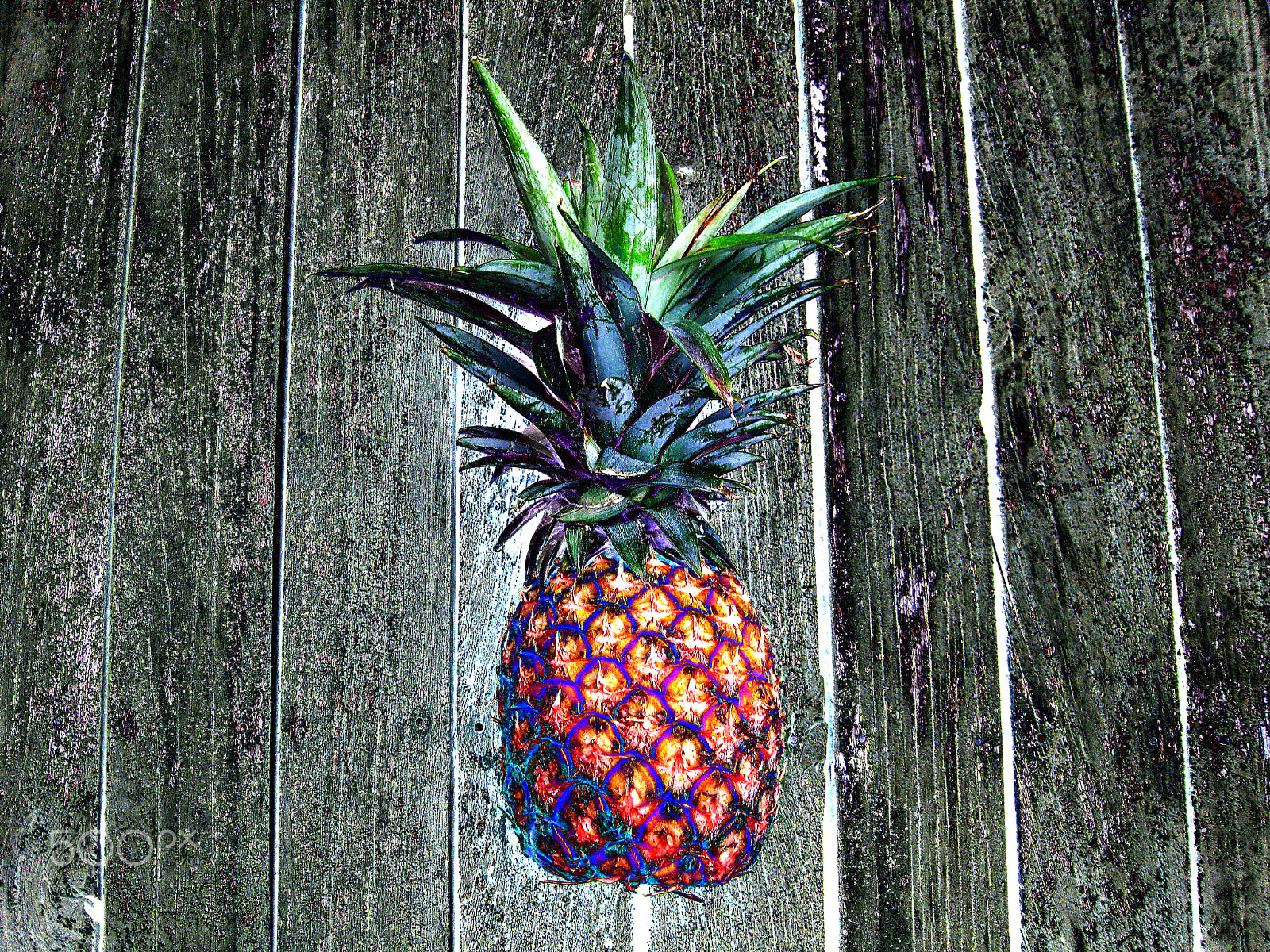 Canon DIGITAL IXUS 960 IS sample photo. The last pineapple in the crate photography
