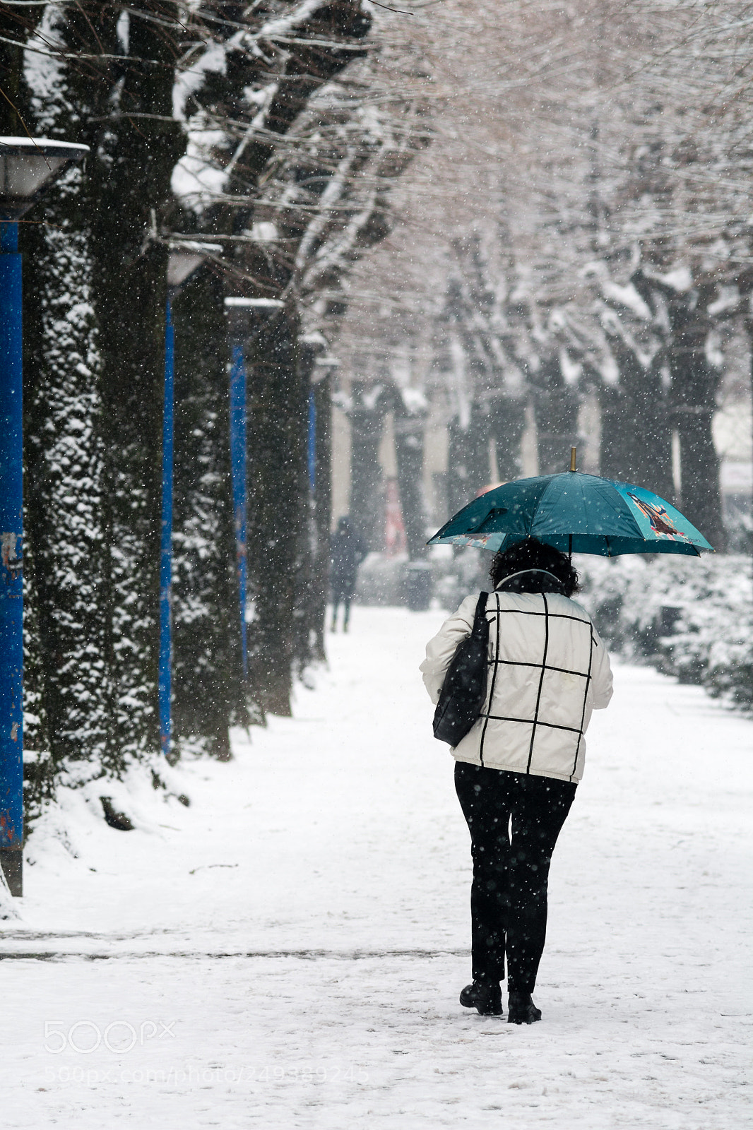 Nikon D7100 sample photo. Winter and blue photography
