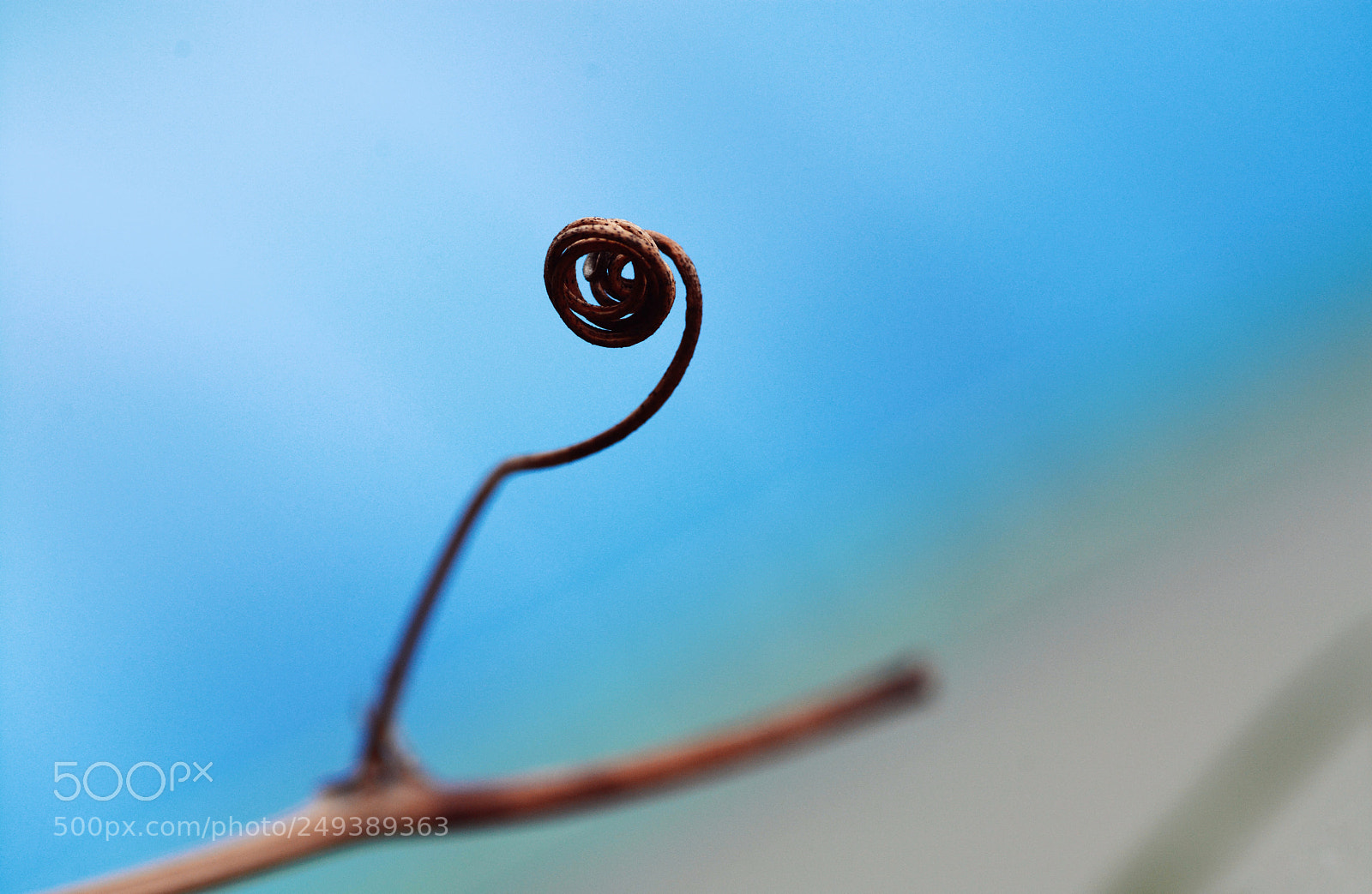 Nikon D7100 sample photo. Untitled photography