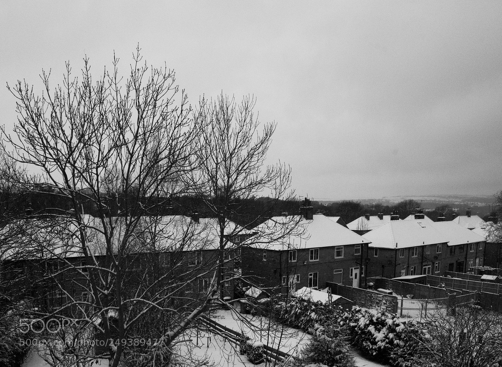 Nikon D3100 sample photo. Lines photography
