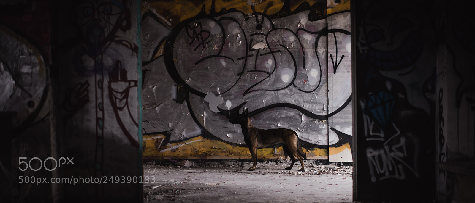 Nikon D610 sample photo. Nox photography