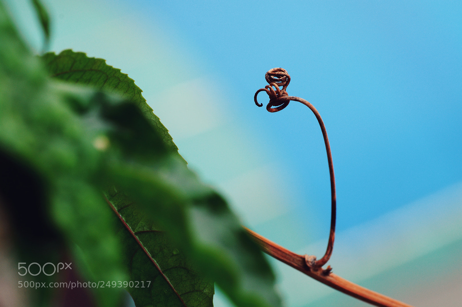 Nikon D7100 sample photo. Untitled photography