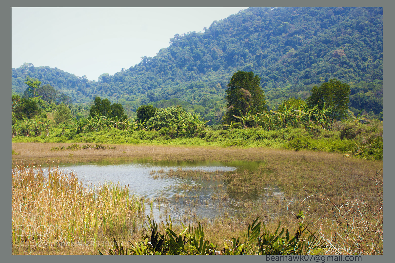 Nikon D7200 sample photo. Copy photography