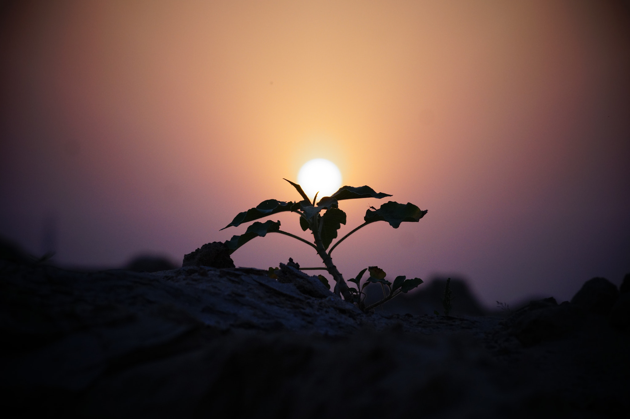 Sony DT 55-200mm F4-5.6 SAM sample photo. Where it all ends... photography