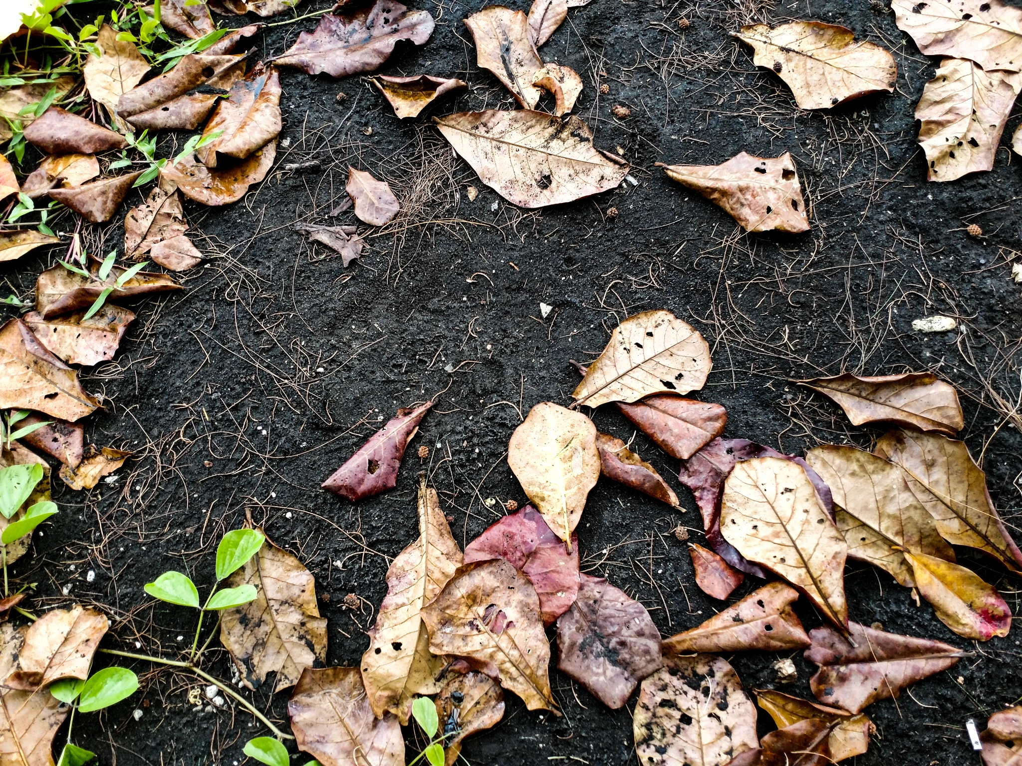 Motorola XT1650 sample photo. Need space photography
