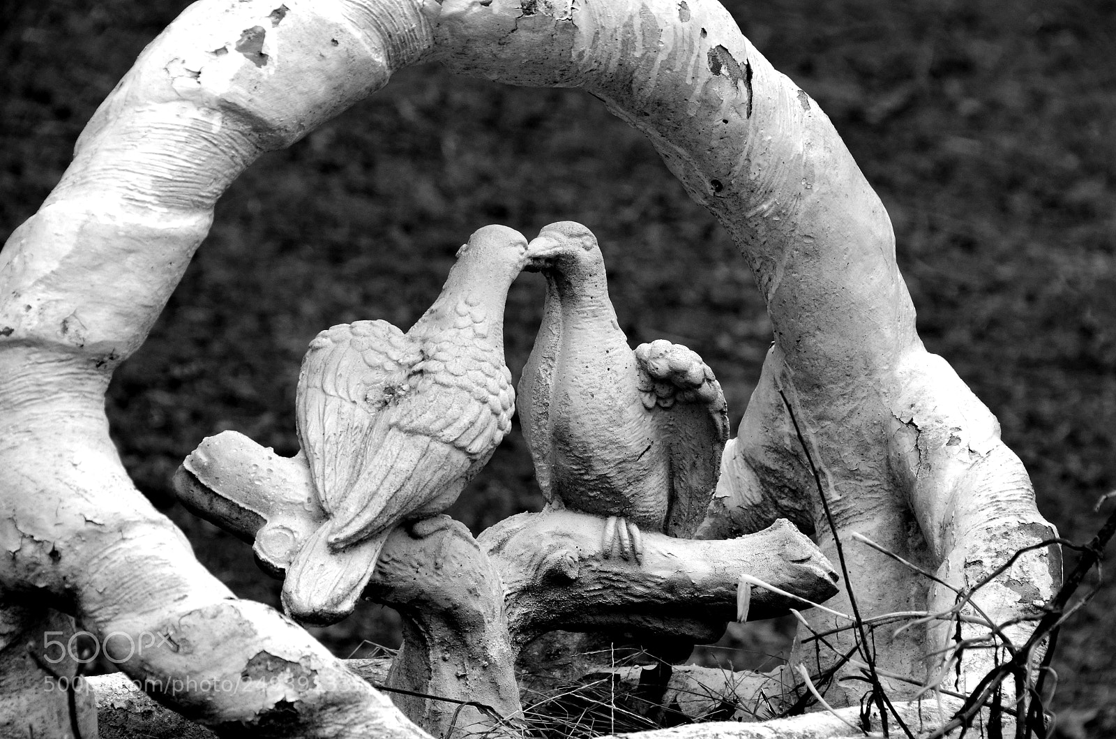 Nikon D5100 sample photo. Peace  offering photography