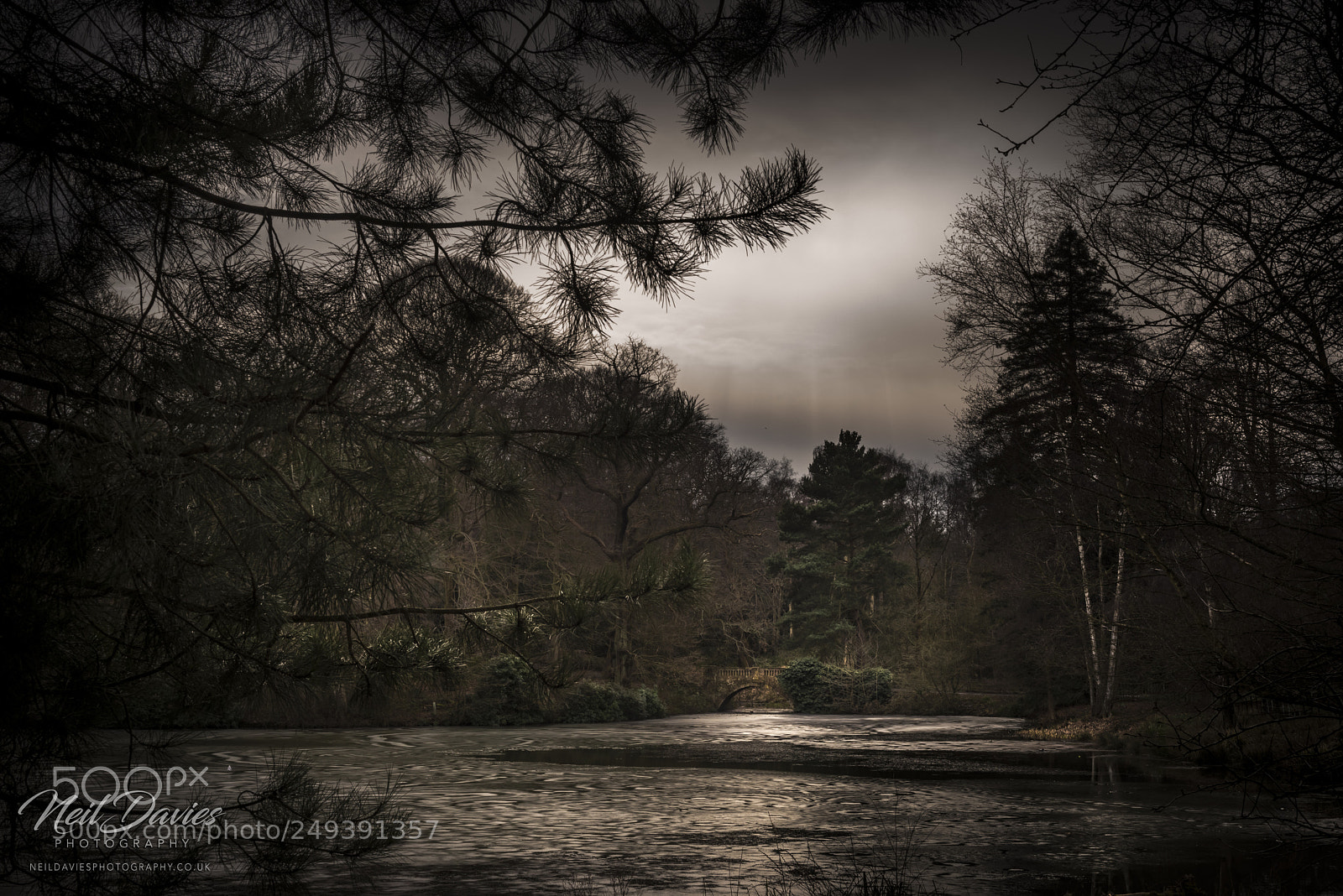 Nikon D810 sample photo. Untitled photography