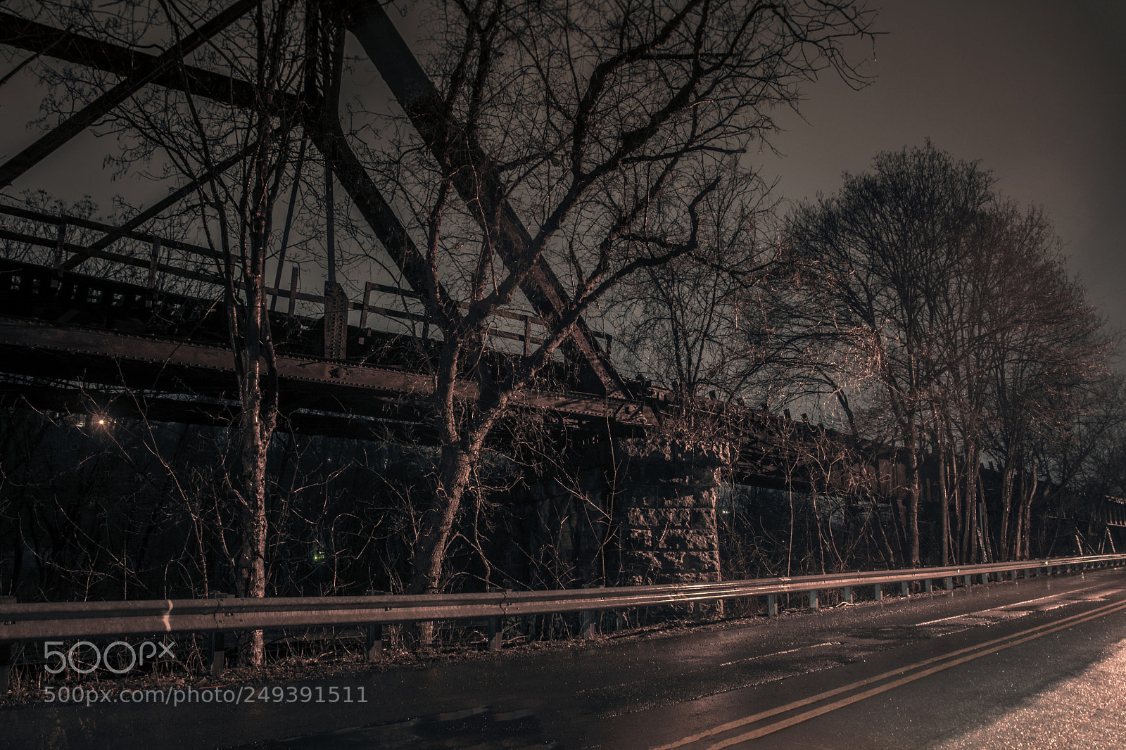 Nikon D7100 sample photo. Iron and trees photography
