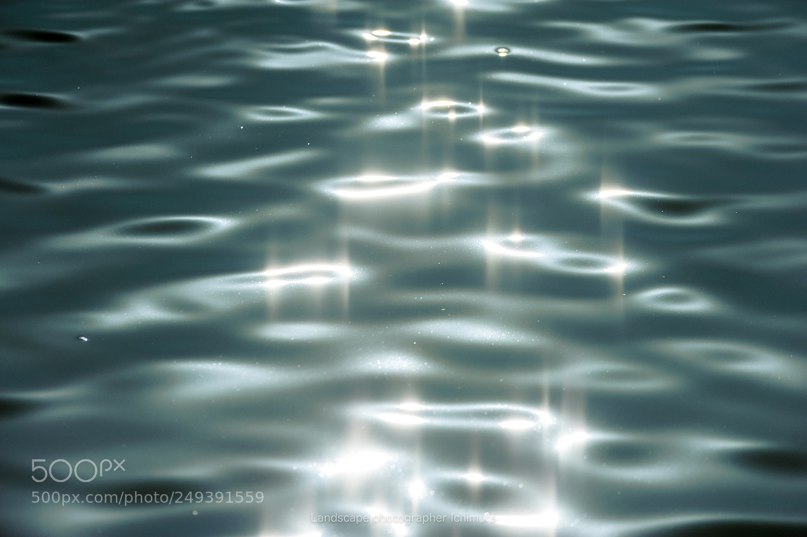 Nikon D700 sample photo. Shine of the surface photography