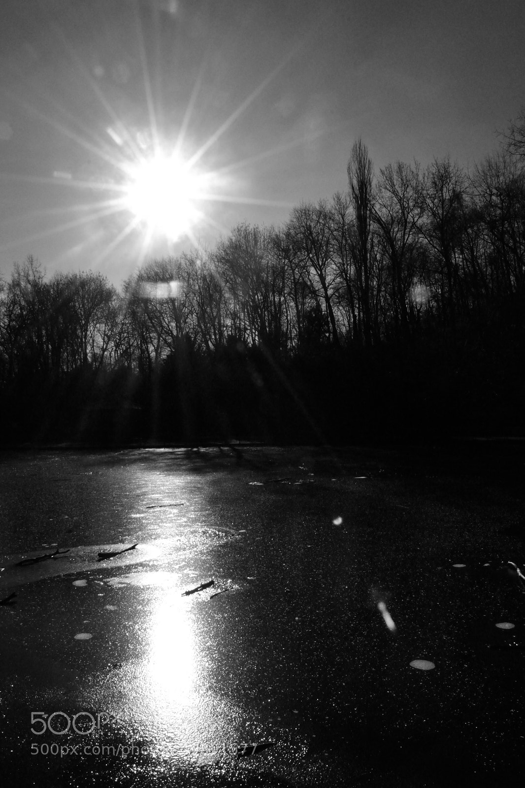 Nikon D3100 sample photo. It was a cold photography