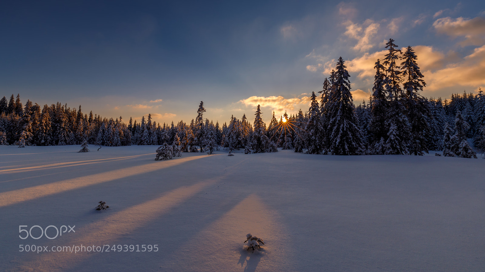 Canon EOS 5D Mark IV sample photo. Winter sunset photography