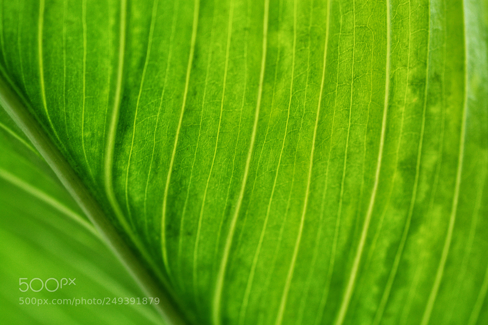 Nikon D7100 sample photo. Untitled photography