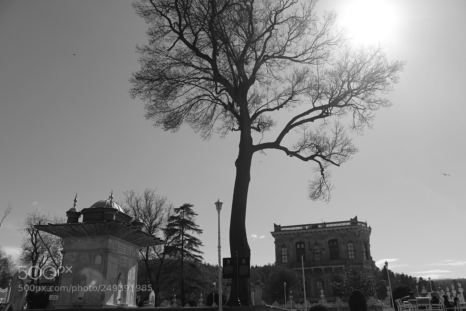 Canon EOS 650D (EOS Rebel T4i / EOS Kiss X6i) sample photo. History photography