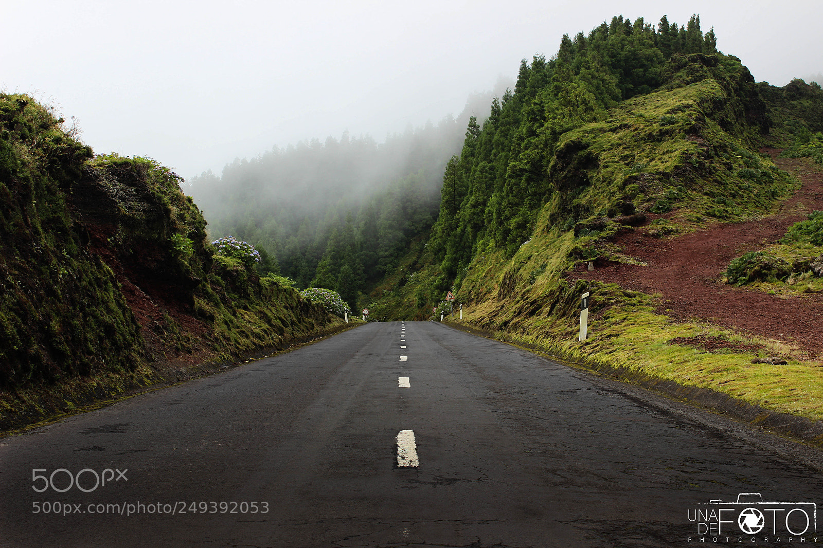 Canon EOS 600D (Rebel EOS T3i / EOS Kiss X5) sample photo. Carretera del bosque photography