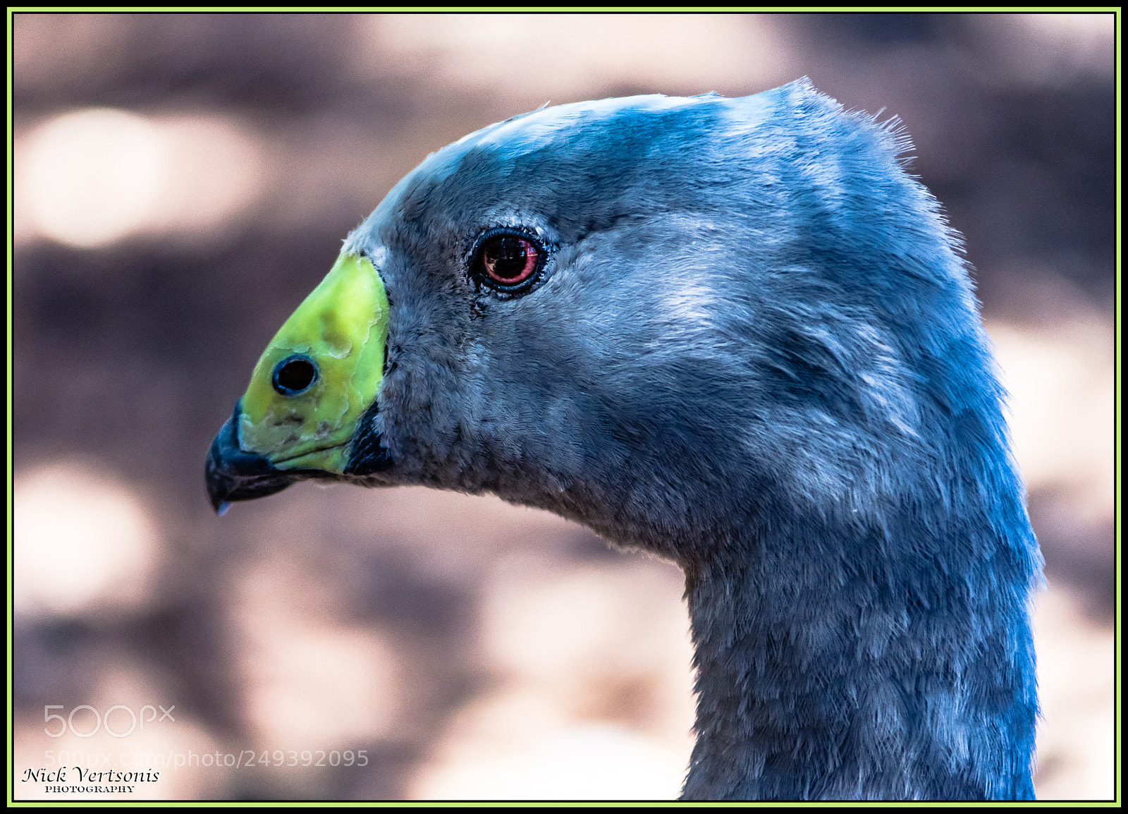 Nikon D7200 sample photo. Different... photography
