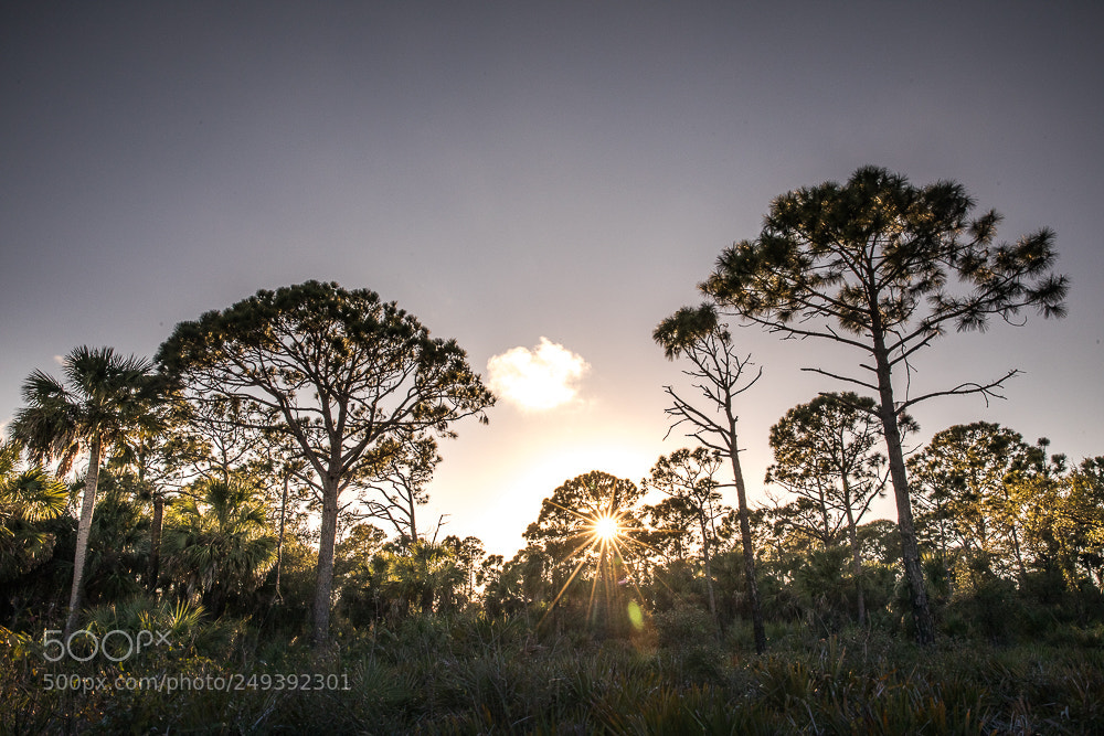 Canon EOS 5D Mark IV sample photo. Florida sunset photography