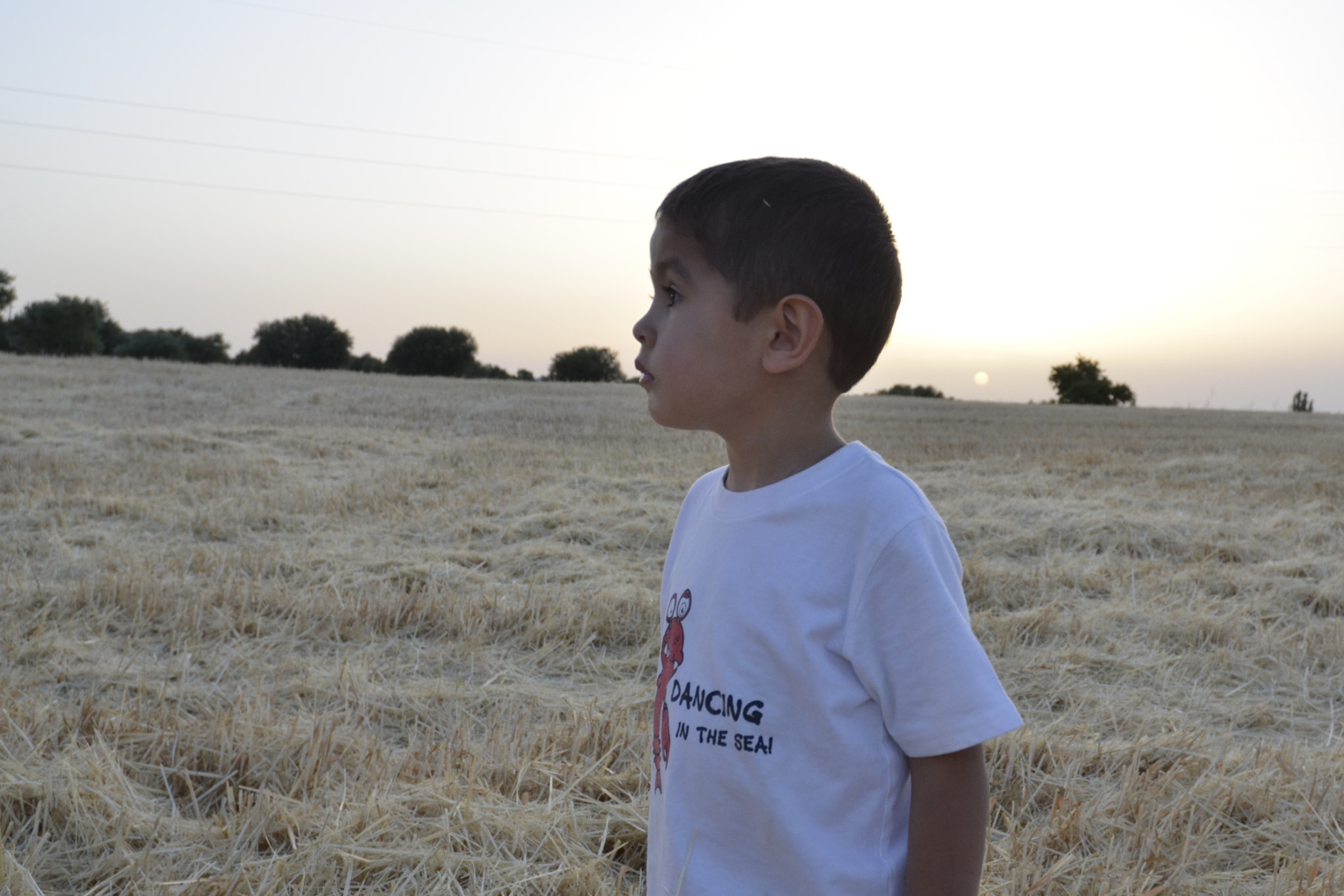 Nikon D7000 sample photo. Mirada photography