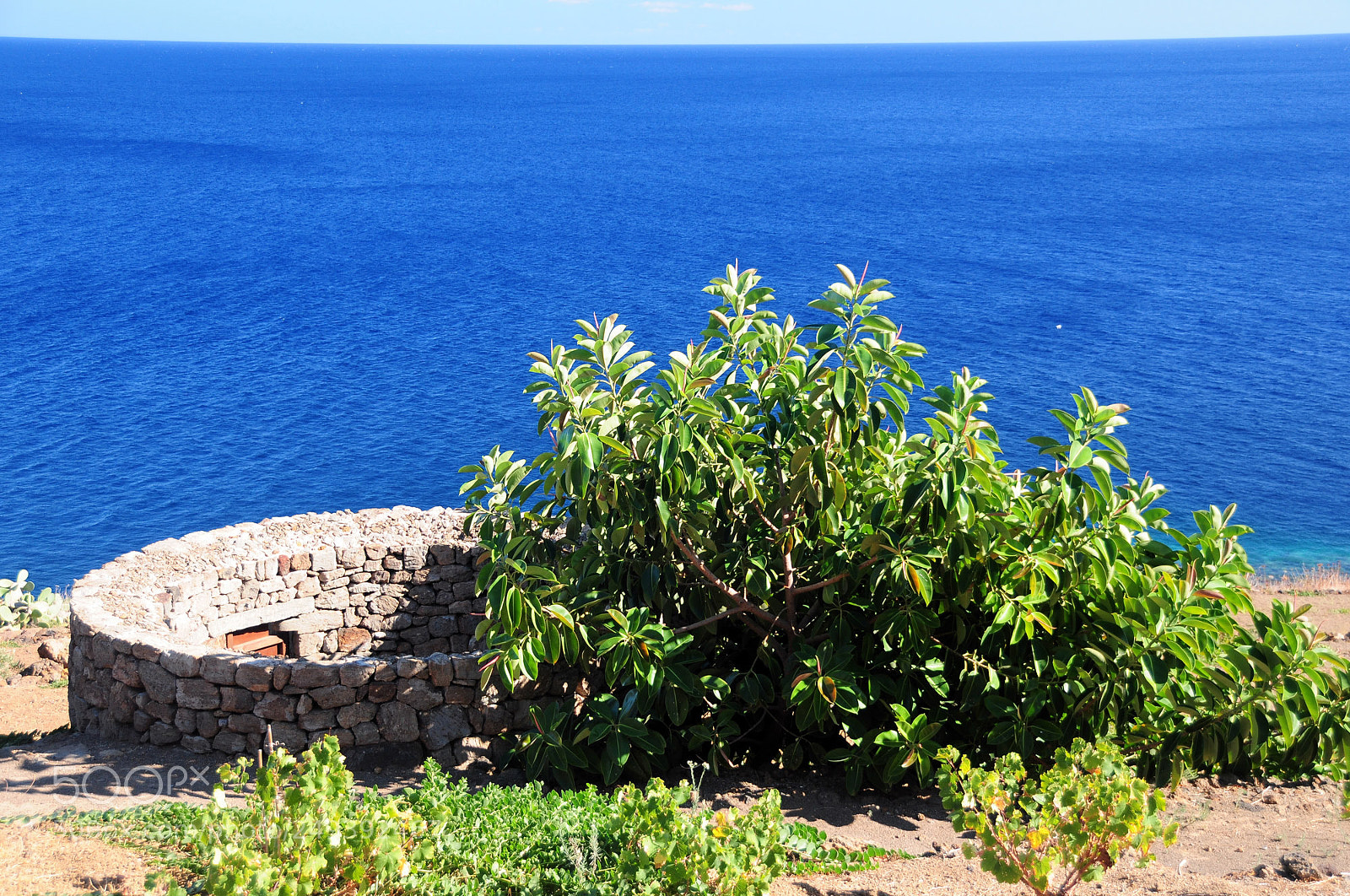Nikon D300 sample photo. Pantelleria's garden photography