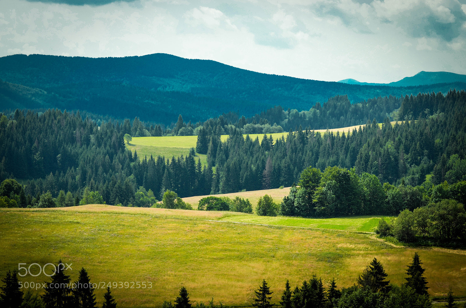 Nikon D5100 sample photo. Spring- orava photography