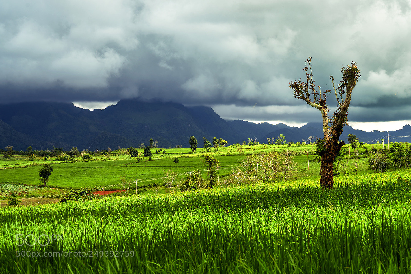 Sony a7R II sample photo. Untitled photography