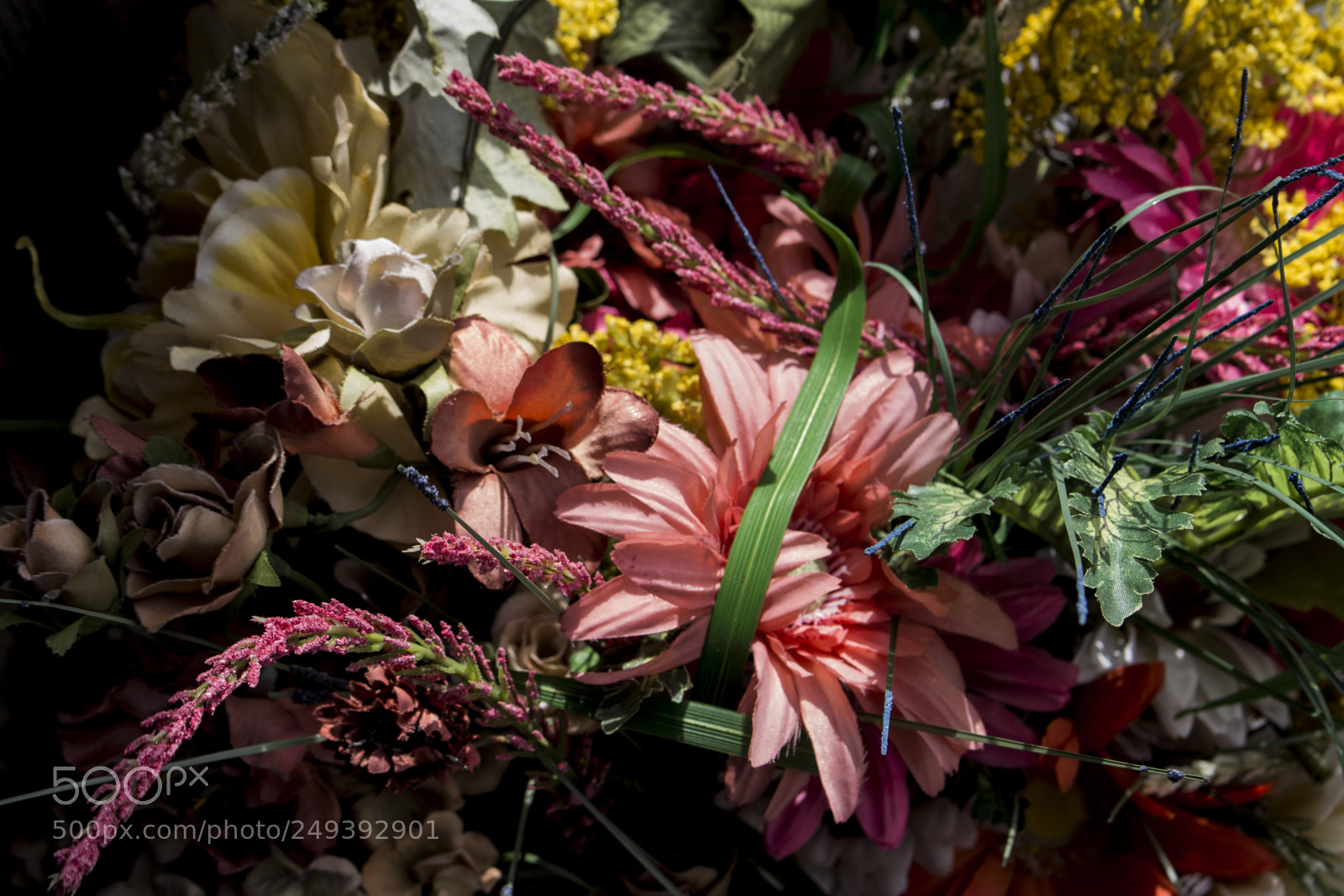 Canon EOS 700D (EOS Rebel T5i / EOS Kiss X7i) sample photo. Fleurs photography