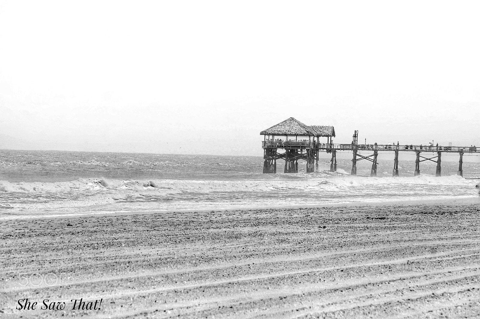 Nikon D40 sample photo. Untitled photography