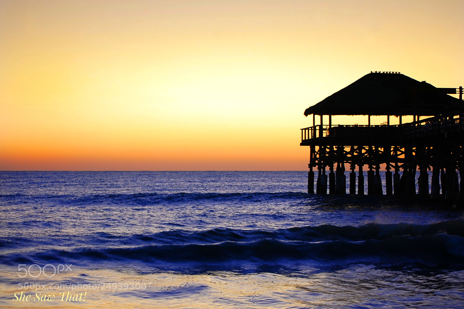 Nikon D40 sample photo. Untitled photography